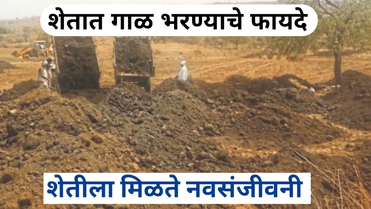 शेतात गाळ भरण्याचे फायदे: विविध शेतकऱ्यांचे बोलके अनुभव