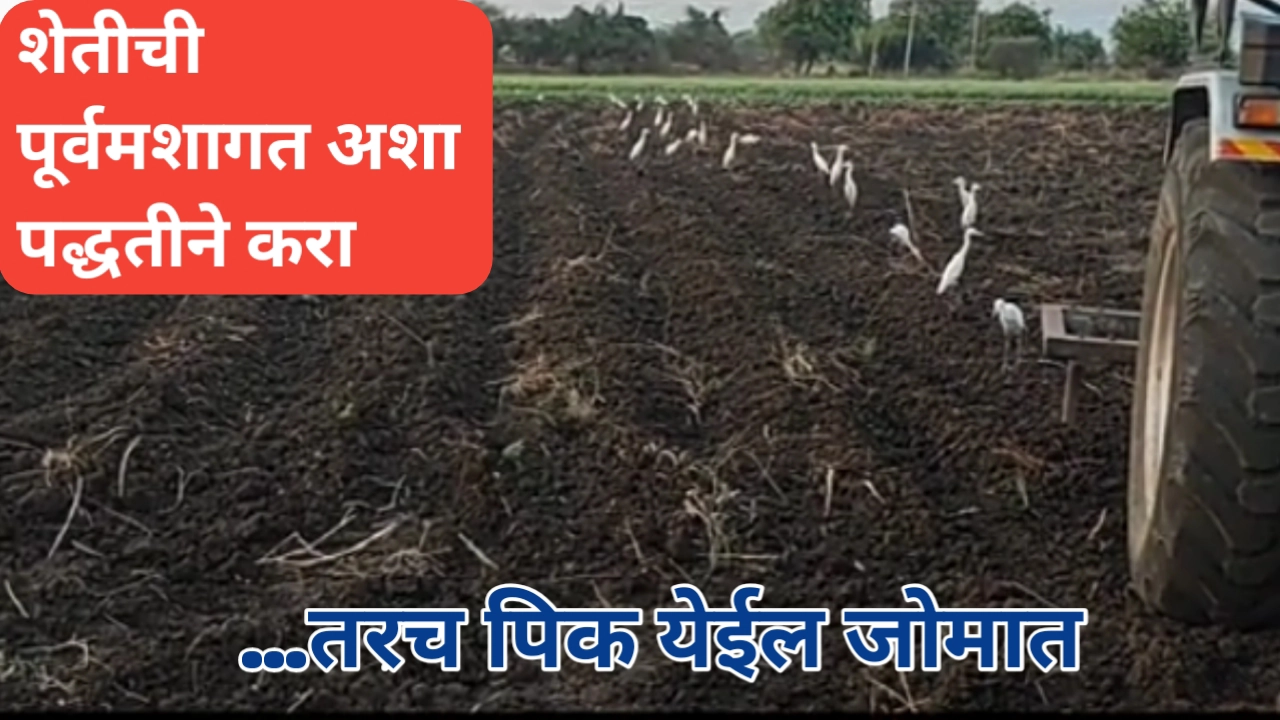 शेतीची पूर्वमशागत करताना या गोष्टी लक्षात घ्या