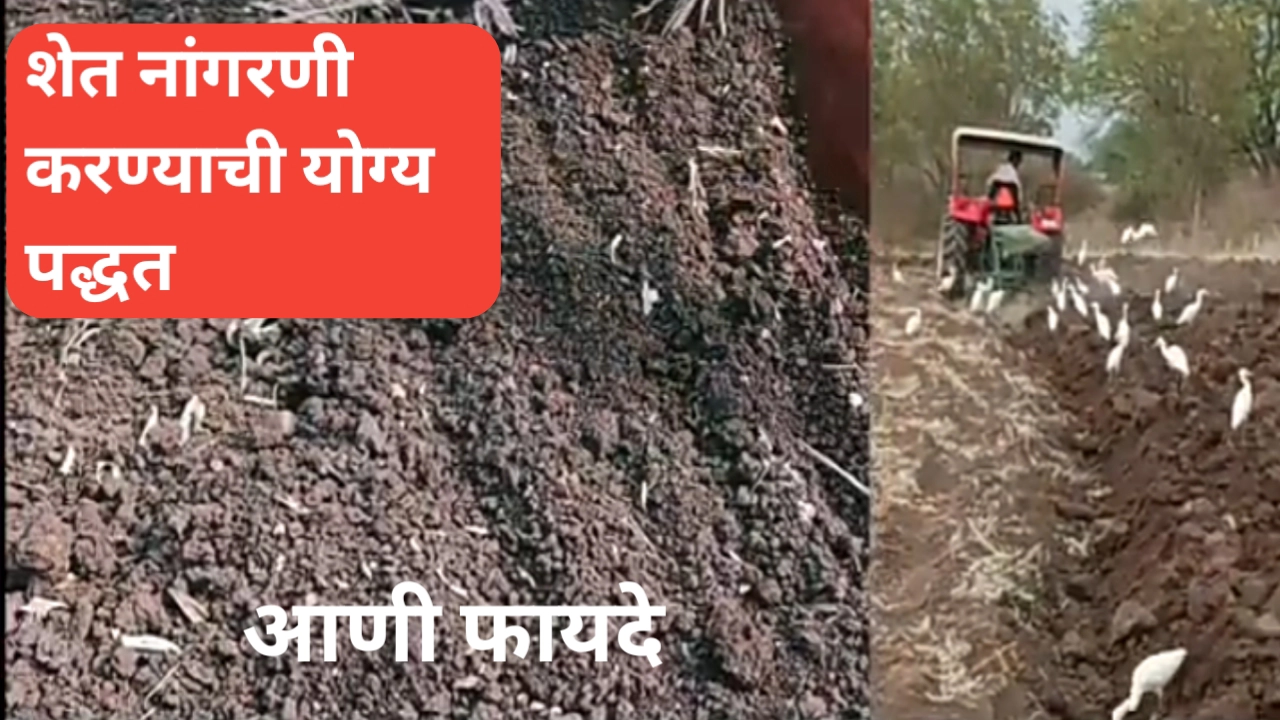 शेत नांगरणी करताना या गोष्टींकडे दुर्लक्ष करू नका