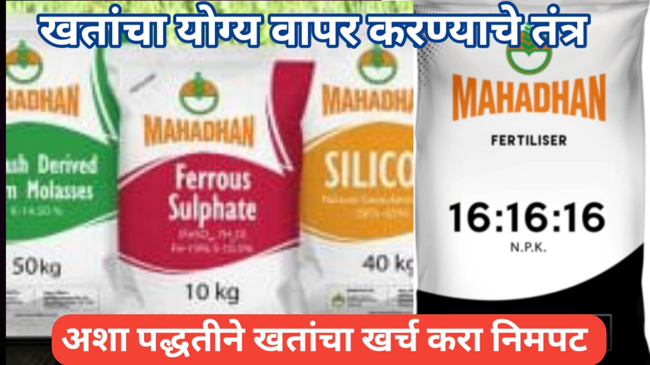 खत खर्चात बचत करण्याबाबत महत्वाच्या टिप्स