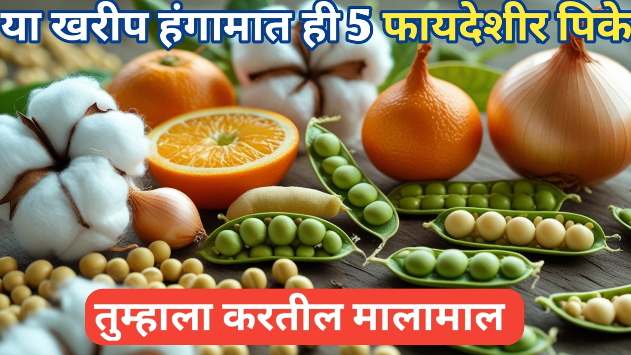 विदर्भातील शेतकऱ्यांसाठी 5 फायदेशीर पिके कोणती? जाणून घ्या