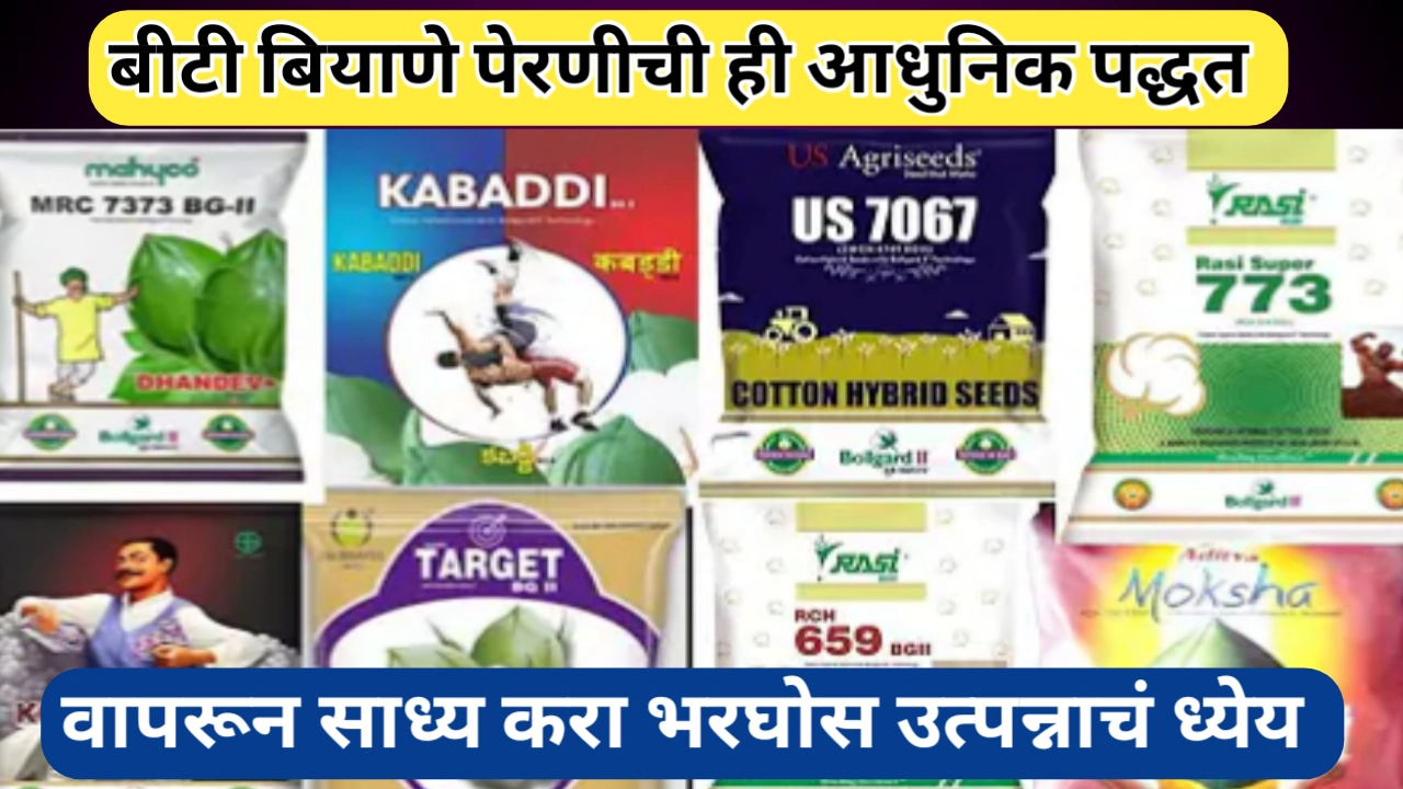 बीटी बियाणे पेरण्याची प्रगत पद्धत वापरून उत्पन्नात करा वाढ