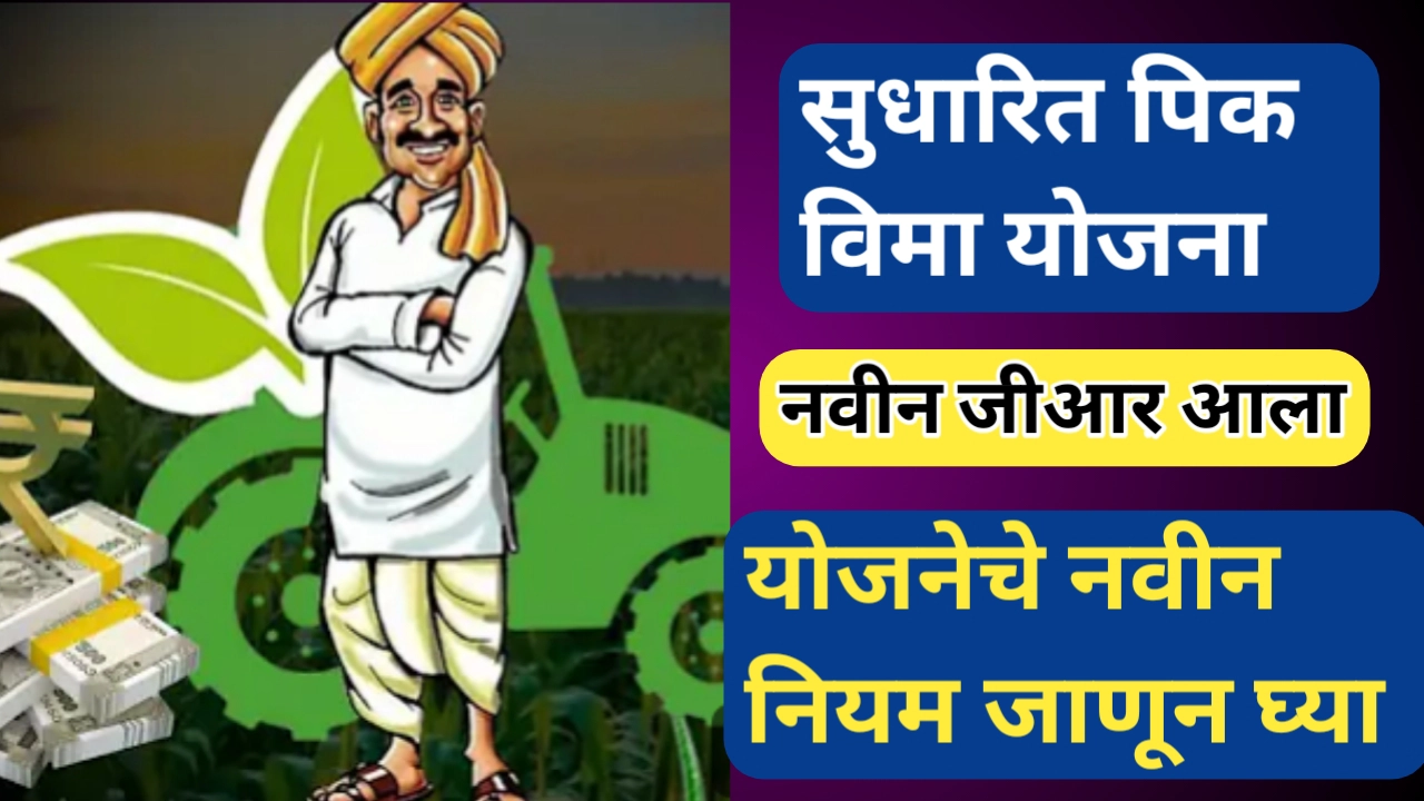 सुधारित पिक विमा योजना जाणून घ्या; नवीन जीआर जारी