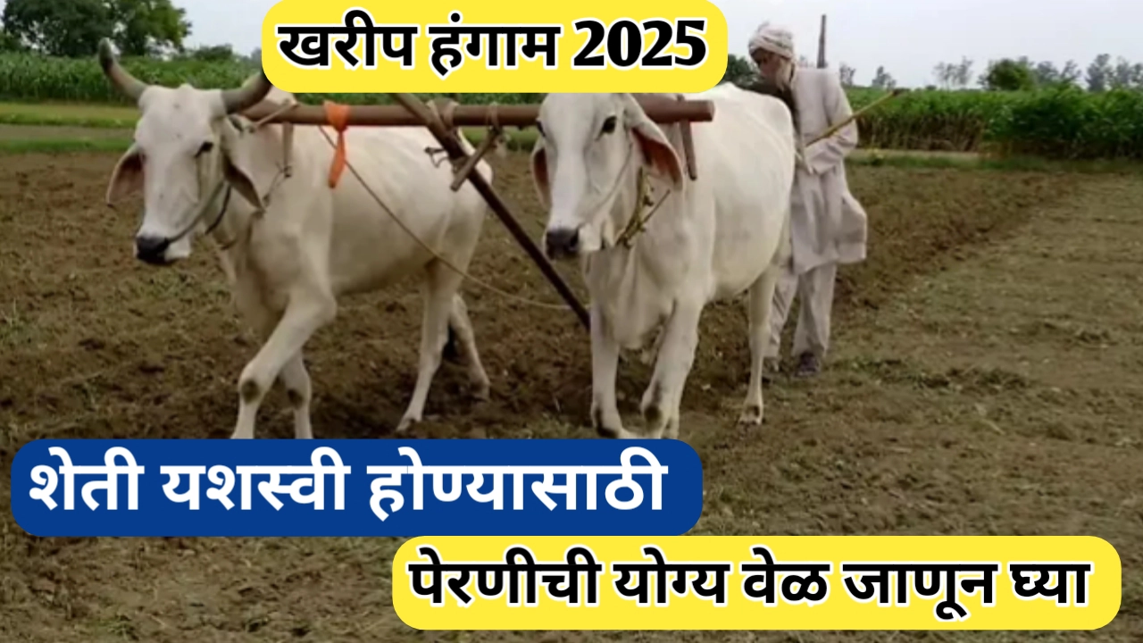 पेरणीची योग्य वेळ म्हणजेच यशस्वी शेतीचा पहिला टप्पा