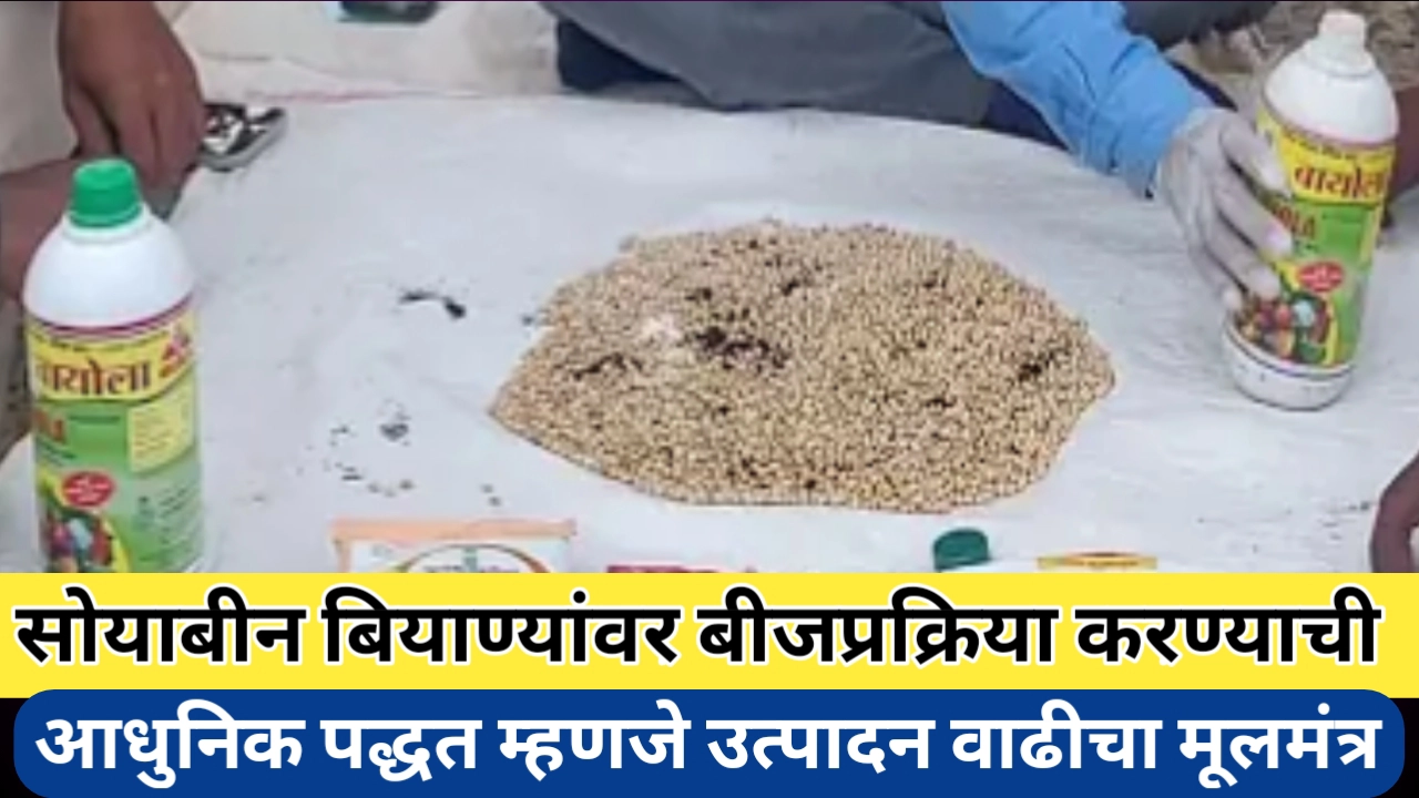 सोयाबीन बियाण्यांवर बीजप्रक्रिया: शेतीतील उत्पादन क्षमतेची गुरुकिल्ली