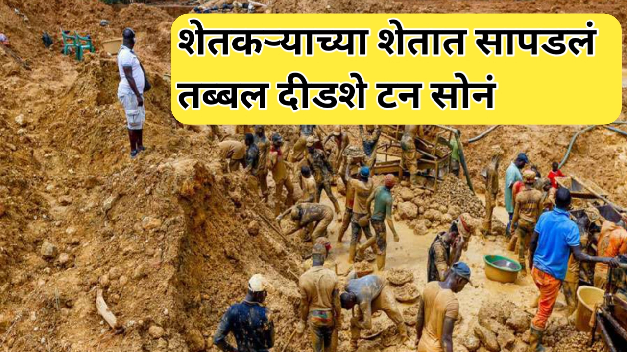 शेतकऱ्याच्या शेतात दीडशे टन सोनं सापडलं; शेतकरी झाला अब्जाधीश