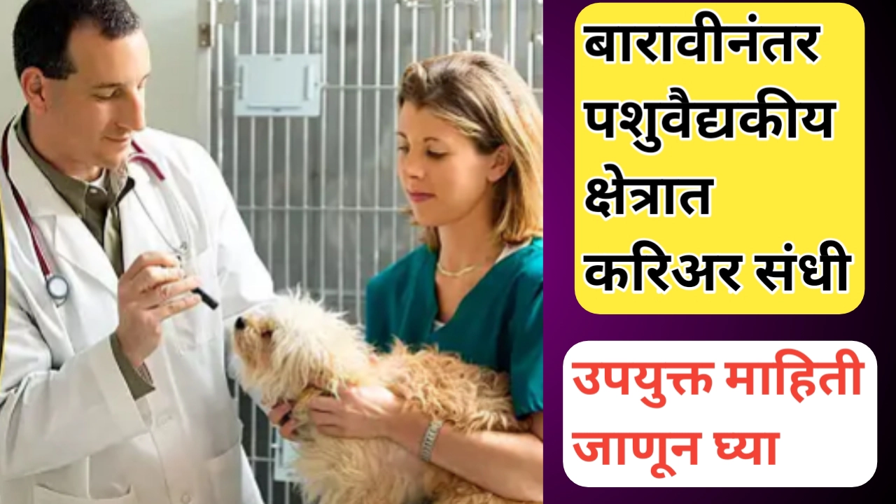 बारावीनंतर पशुवैद्यकीय क्षेत्रात करिअर : एक सुवर्णसंधी