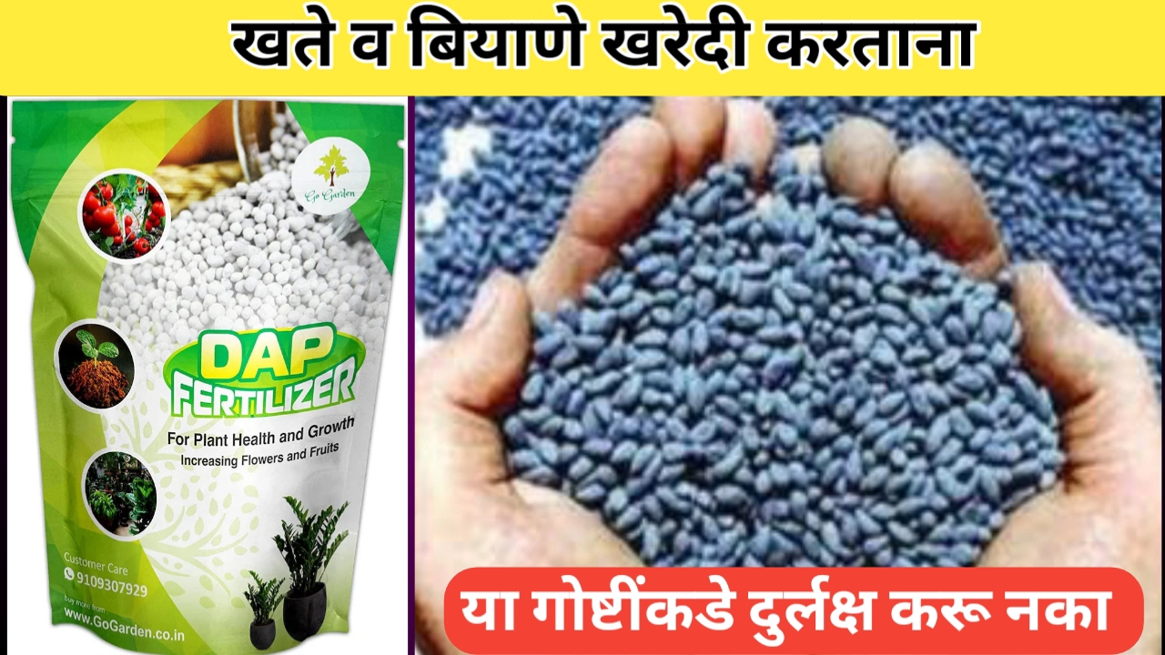 खते व बियाणे खरेदी करताना लक्षात घ्यावयाच्या बाबी