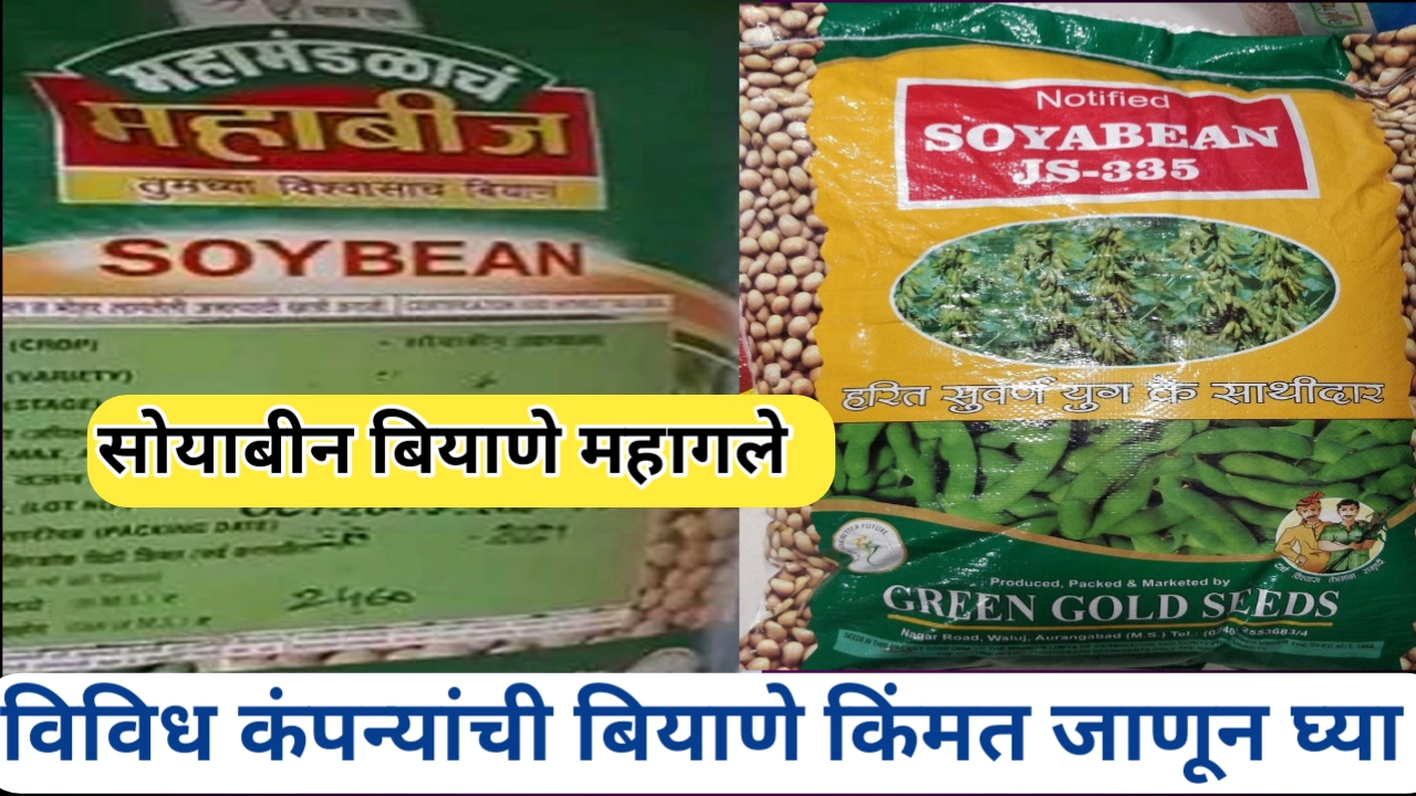 सोयाबीन बियाण्यांच्या किंमतीत वाढ झाल्यामुळे शेतकऱ्यांना आर्थिक ताण