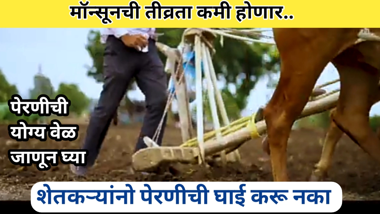 शेतकऱ्यांनो पेरणीची घाई करू नका; मॉन्सूनची गती मंदावणार