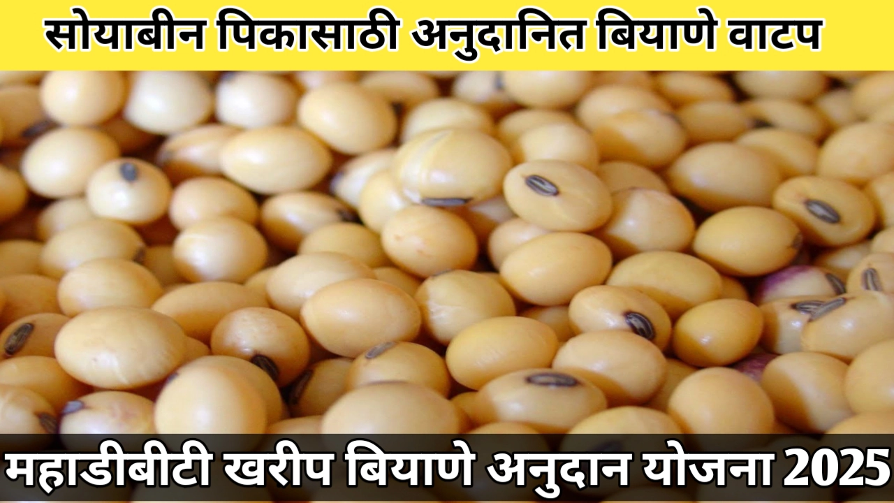 सोयाबीन पिकासाठी अनुदानित बियाणे वाटप योजना 2025: असा करा ऑनलाईन अर्ज