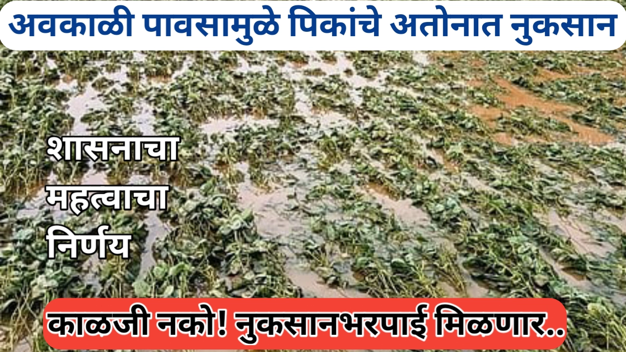 अवकाळी पावसामुळे झालेली नुकसानभरपाई मिळणार; शासन निर्णय आला
