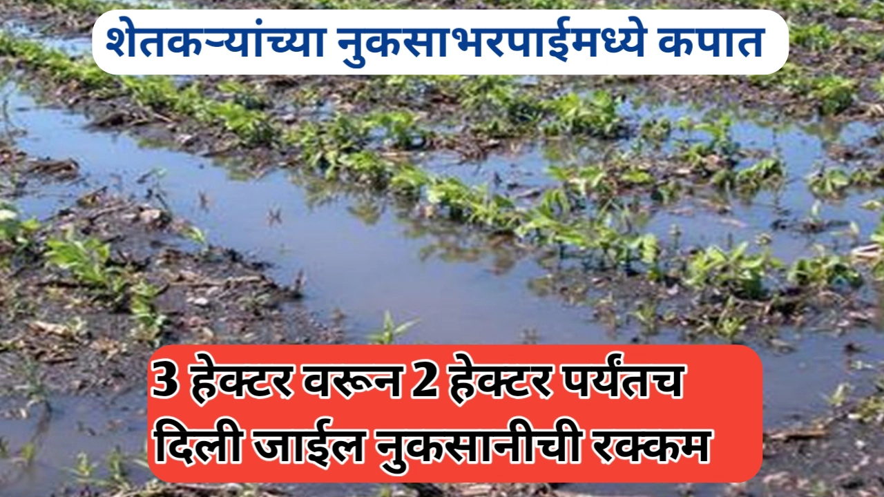 शेतकऱ्यांच्या नुकसानभरपाई मध्ये कपात; शासनाचा नवीन निर्णय