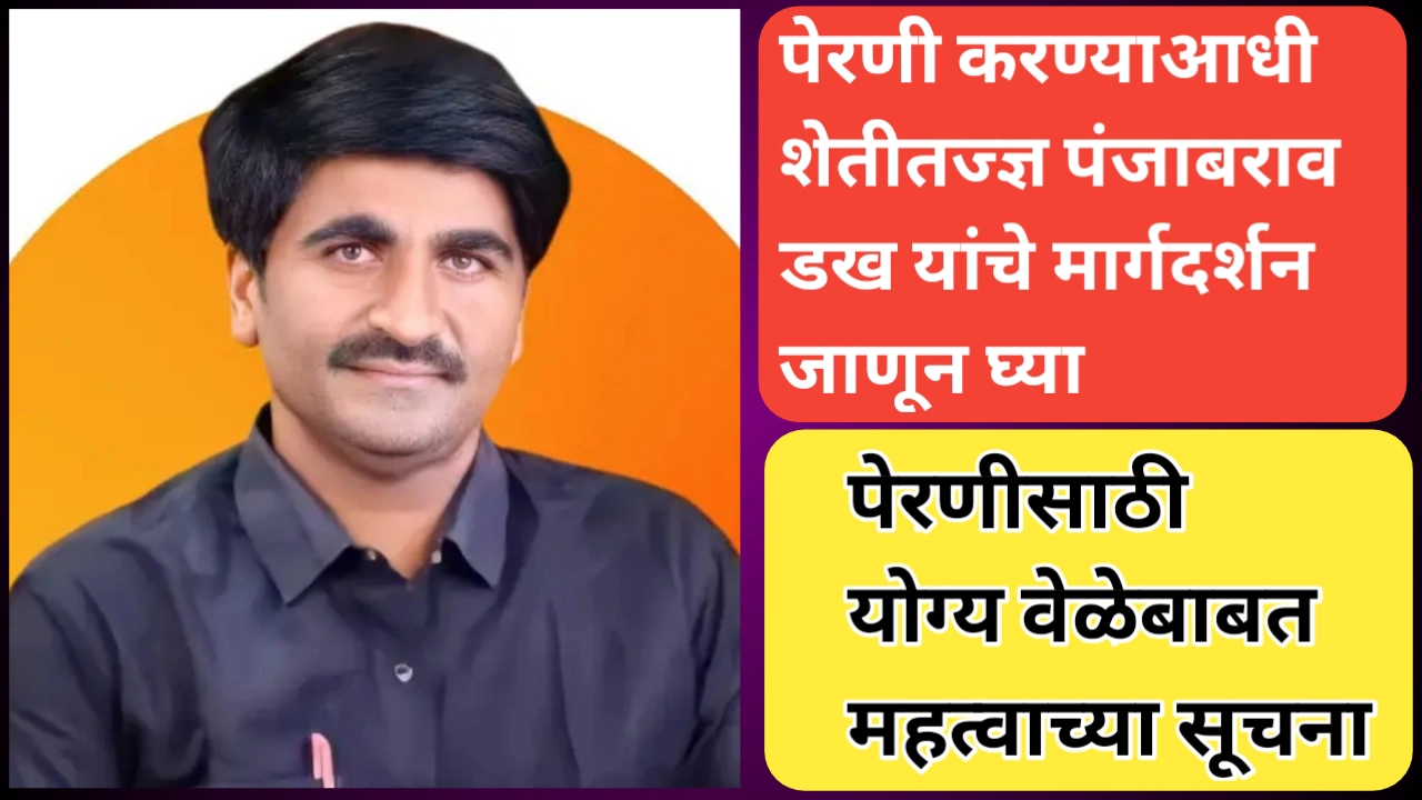 पेरणीबद्दल पंजाबराव डख यांचे मत; पेरणीची घाई करू नका