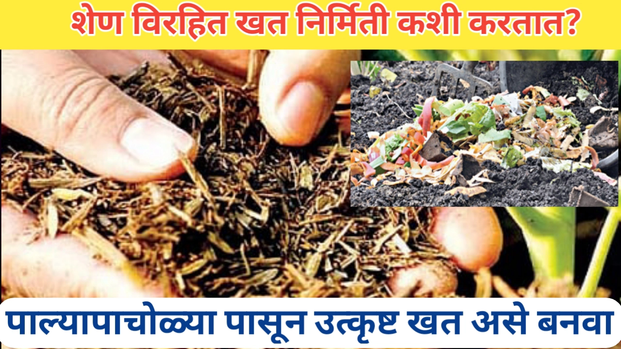 शेण विरहित सेंद्रिय खत निर्मिती प्रक्रिया जाणून घ्या