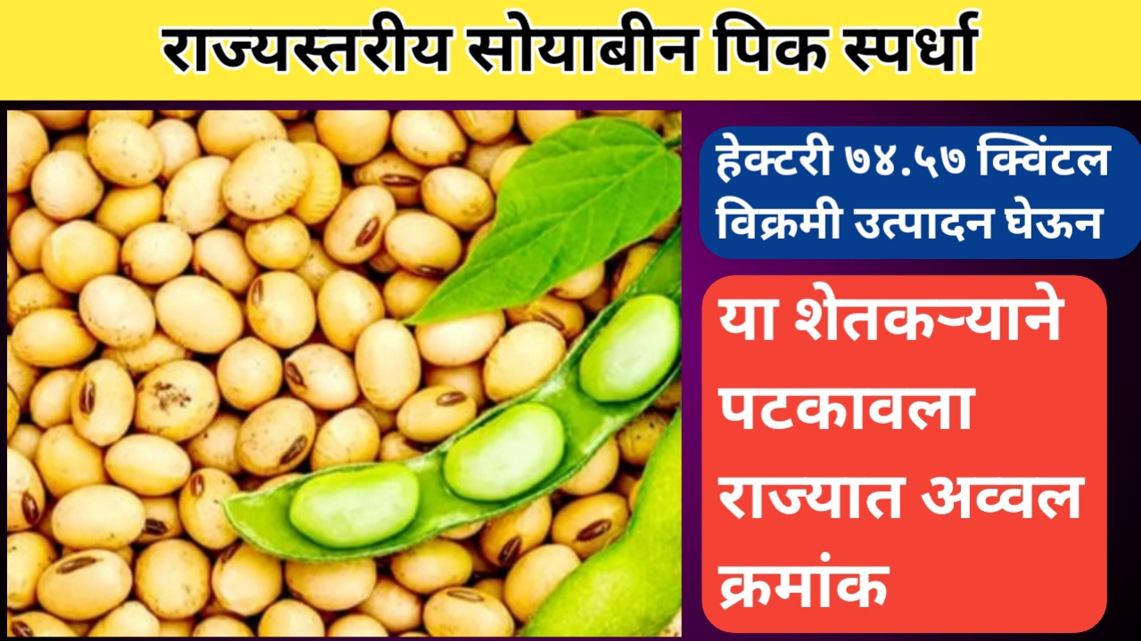 राज्यस्तरीय सोयाबीन पिक स्पर्धा मध्ये हेक्टरी 74.57 क्विंटल उत्पादन घेऊन हा शेतकरी ठरला अव्वल