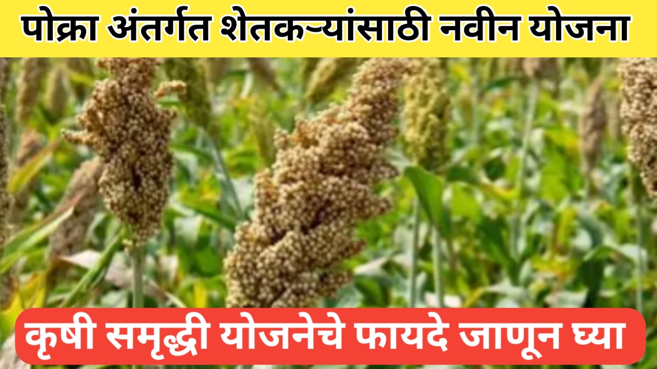 महाराष्ट्राची कृषी समृद्धी योजना; कृषी क्षेत्राला नवीन दिशा