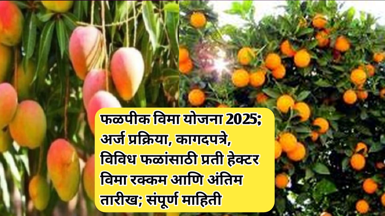 फळपिक विमा अर्ज सादर करण्याची अंतिम तारीख, कागदपत्रे आणि अर्ज प्रक्रिया