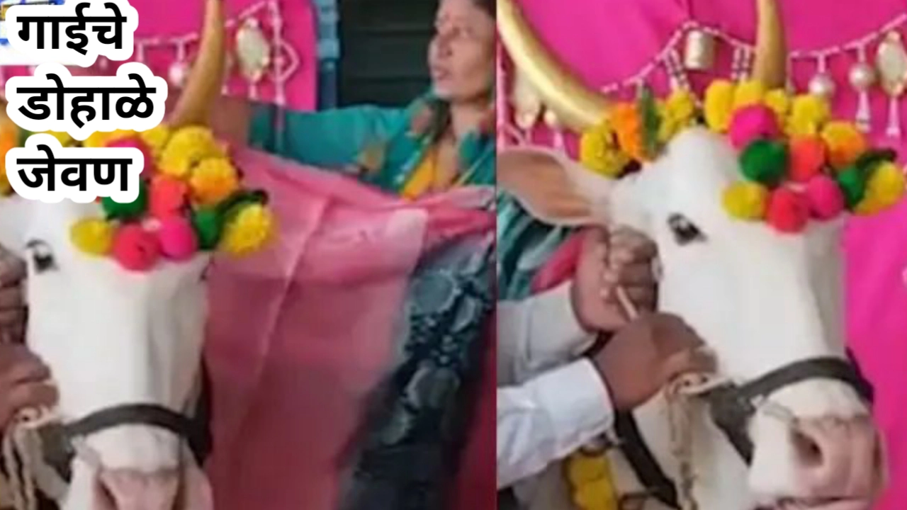 शेतकऱ्याचा नादच भारी; केला चक्क घाईचे डोहाळे जेवण कार्यक्रम