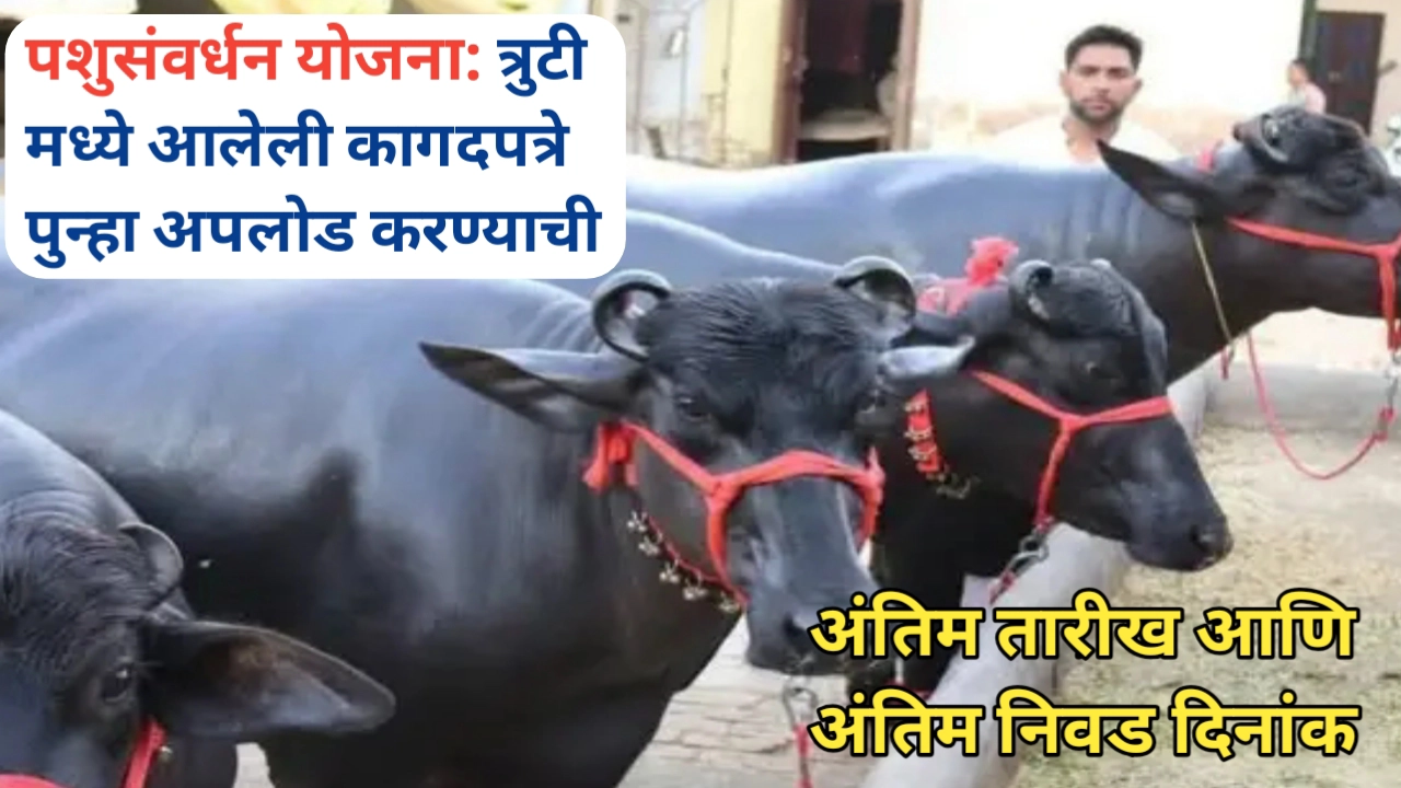 पशुसंवर्धन योजना कागदपत्रे अपलोड अंतिम दिनांक बदलला; ही आहे नवीन मुदत