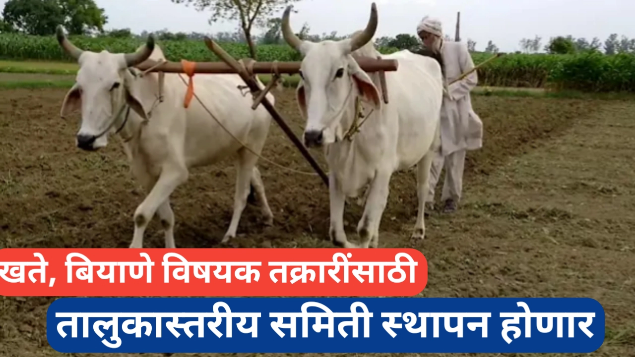 कृषी विषयक तक्रारींसाठी तालुकास्तरीय समिती स्थापन होणार