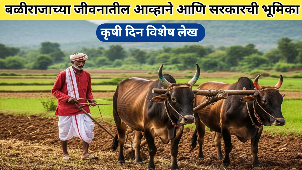 कृषी दिन 2025; शेतकऱ्यांचे महत्व आणि त्यांच्यासमोर असलेली आव्हाने, एक आढावा