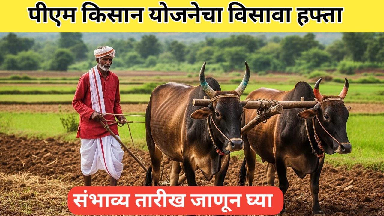 पीएम किसान योजनेच्या विसाव्या हफ्त्याची संभाव्य तारीख जाणून घ्या