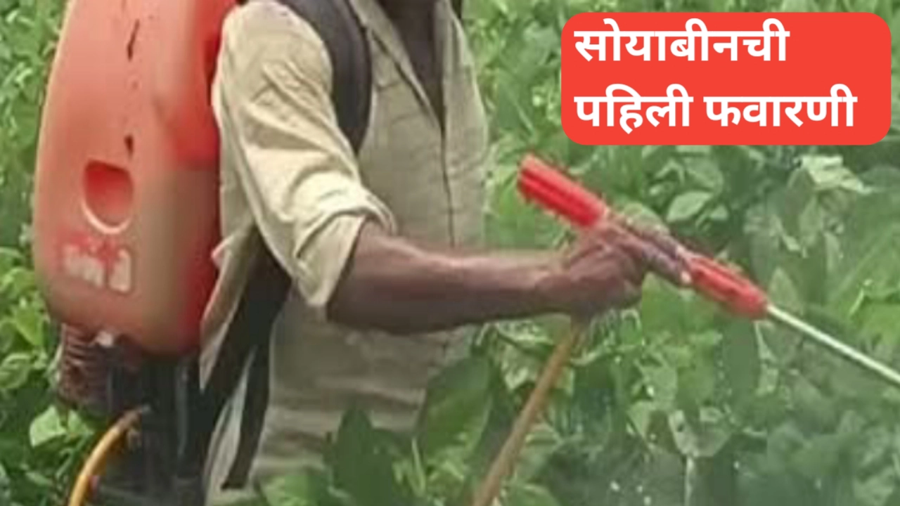 सोयाबीनची पहिली फवारणी: नैसर्गिक संरक्षणाची पहिली पायरी