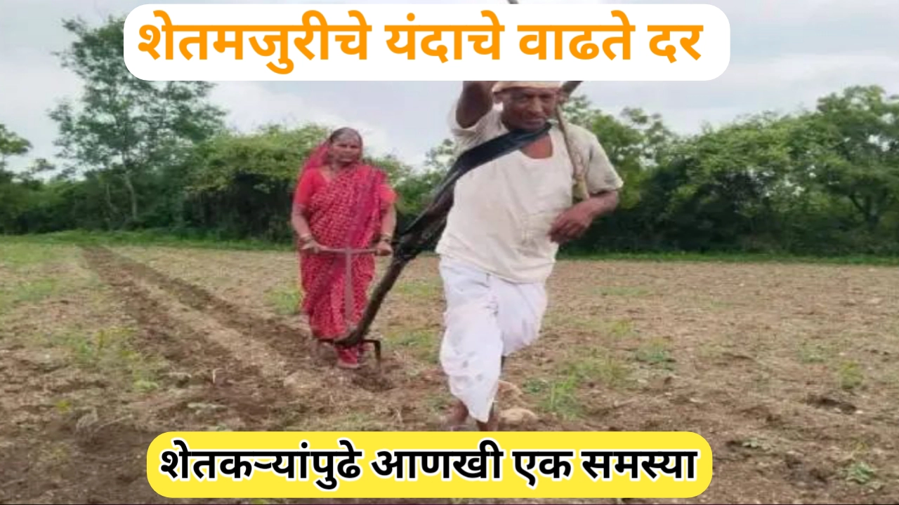वाढते शेतमजुरीचे दर बघून शेतकरी हवालदिल