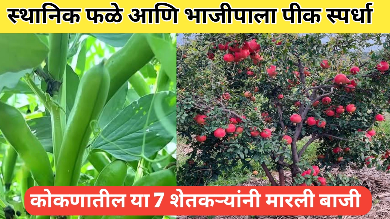 डॉ. बाळासाहेब सावंत कृषी विद्यापीठाची स्थानिक फळे आणि भाजीपाला स्पर्धा