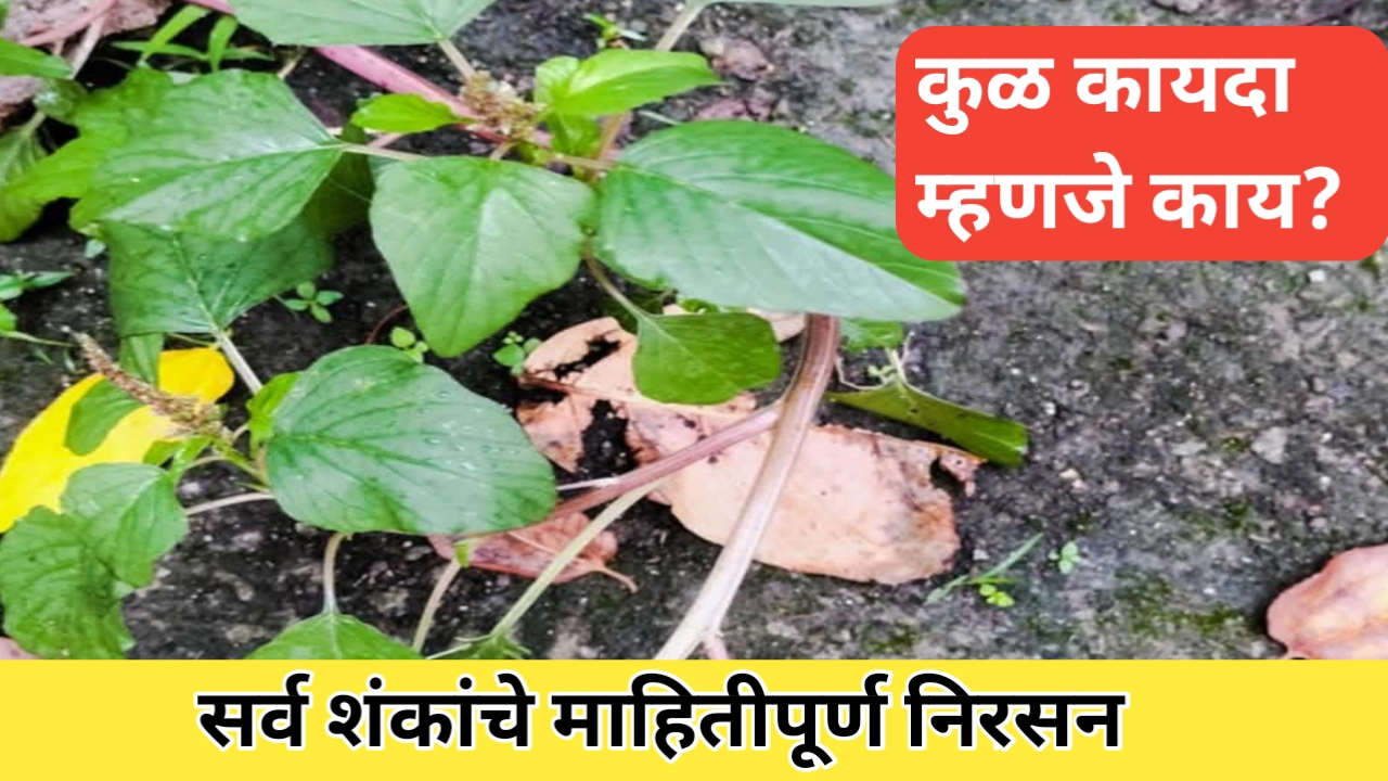 कुळ कायदा बाबत तुमच्या सर्व शंकांचे निरसन