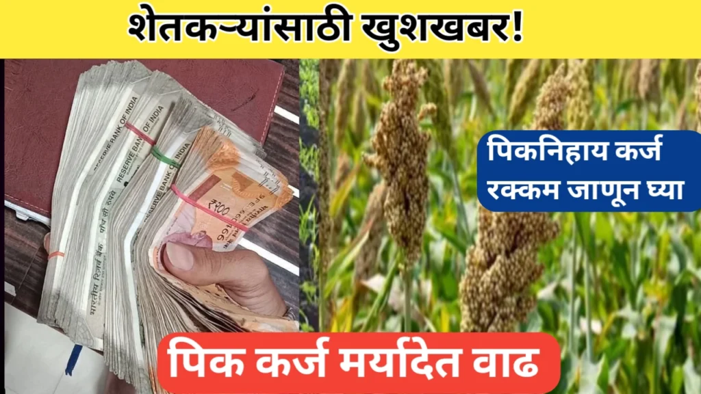 पिक कर्ज मर्यादेत वाढ; पिकनिहाय कर्ज रक्कम जाणून घ्या