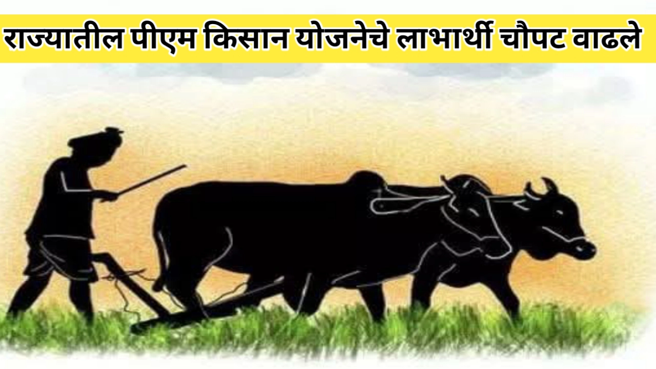 राज्यातील पीएम किसान योजना लाभार्थ्यांची संख्या चारपट वाढली