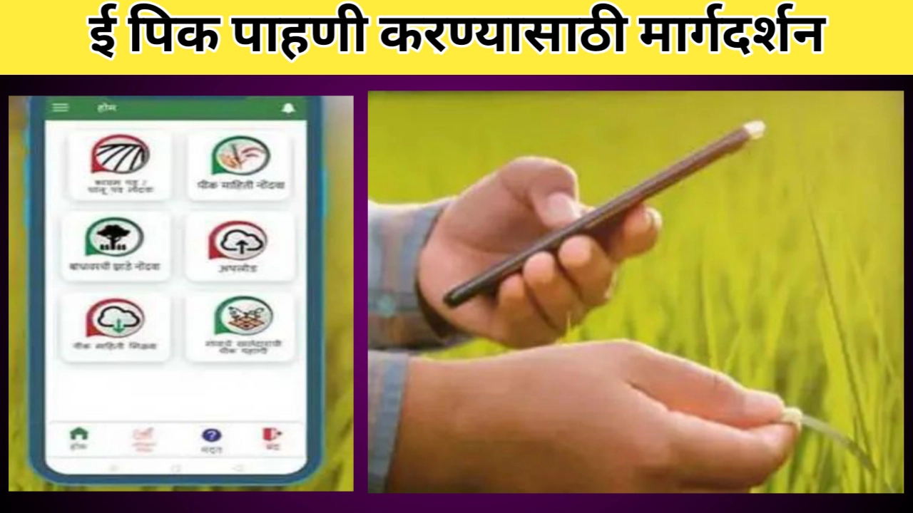 ई पिक पाहणी करताना काय काळजी घ्यावी? मार्गदर्शन