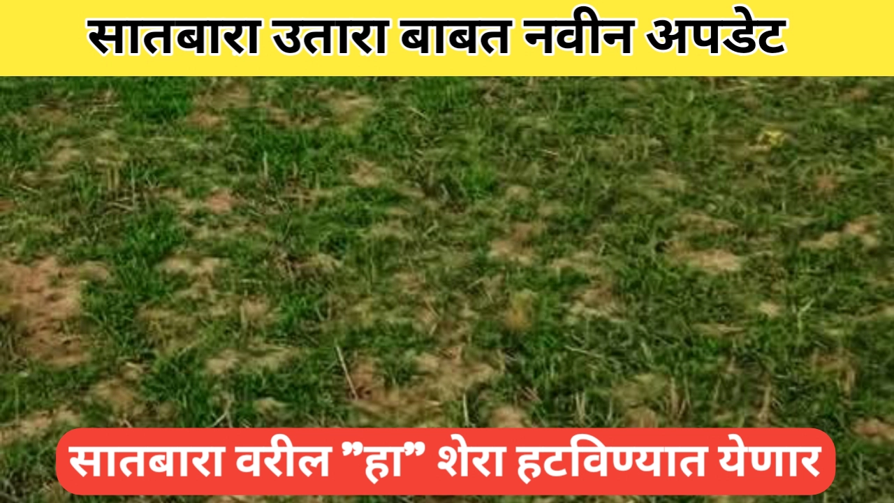 सातबारा उतारा बाबत नवीन अपडेट; "हा" शेरा हटविण्यात येणार