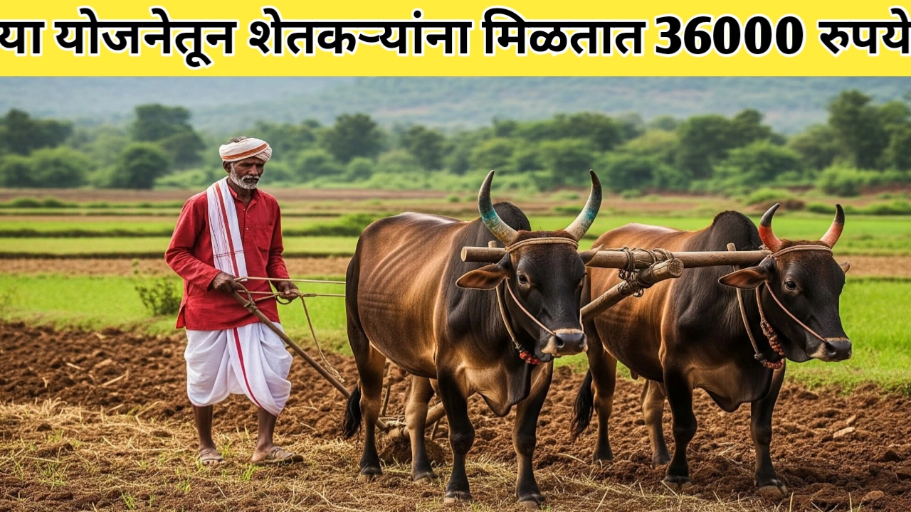 या योजनेतून शेतकऱ्यांना 36 हजार रुपये मिळणार