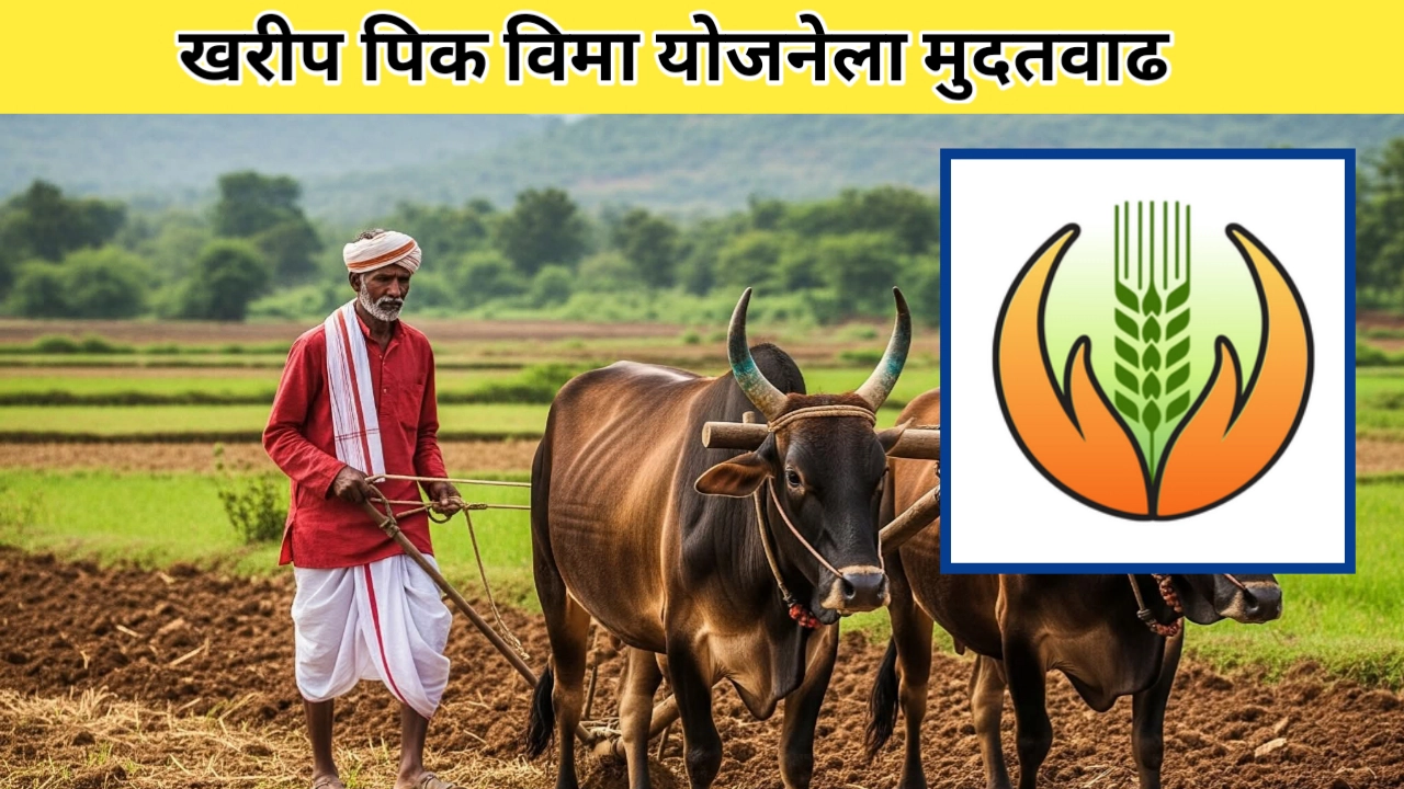 प्रधानमंत्री पिक विमा योजनेला मुदतवाढ; सविस्तर माहिती