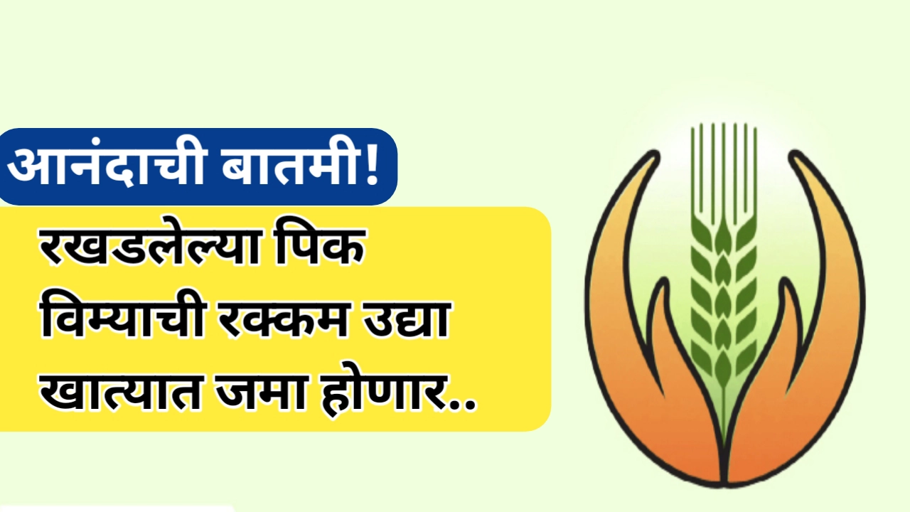 आनंदाची बातमी! रखडलेल्या पिक विम्याची रक्कम उद्या बँक खात्यात जमा होणार