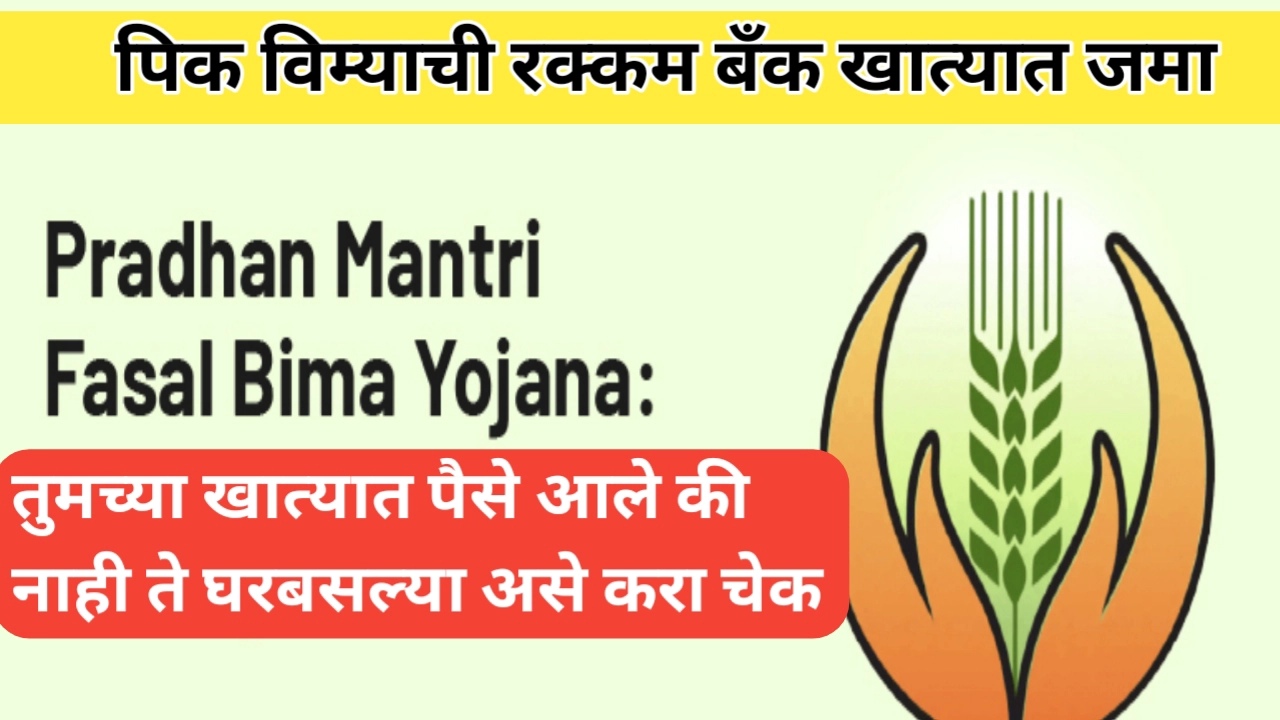 पिक विम्याची रक्कम मिळाली की नाही हे चेक करण्याची पद्धत