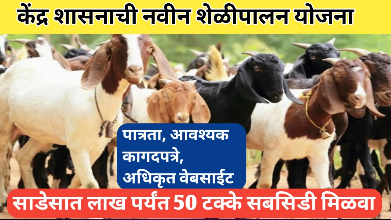 राष्ट्रीय पशुधन अभियान अंतर्गत शेळीपालन अनुदान योजना; संपूर्ण माहिती