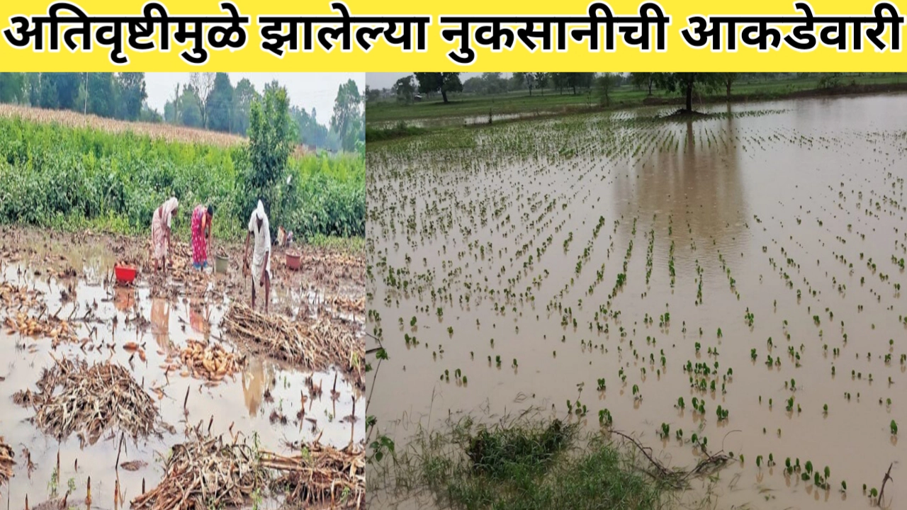 अतिवृष्टीमुळे झालेल्या नुकसानीची आकडेवारी; कृषिमंत्र्यांनी दिली माहिती