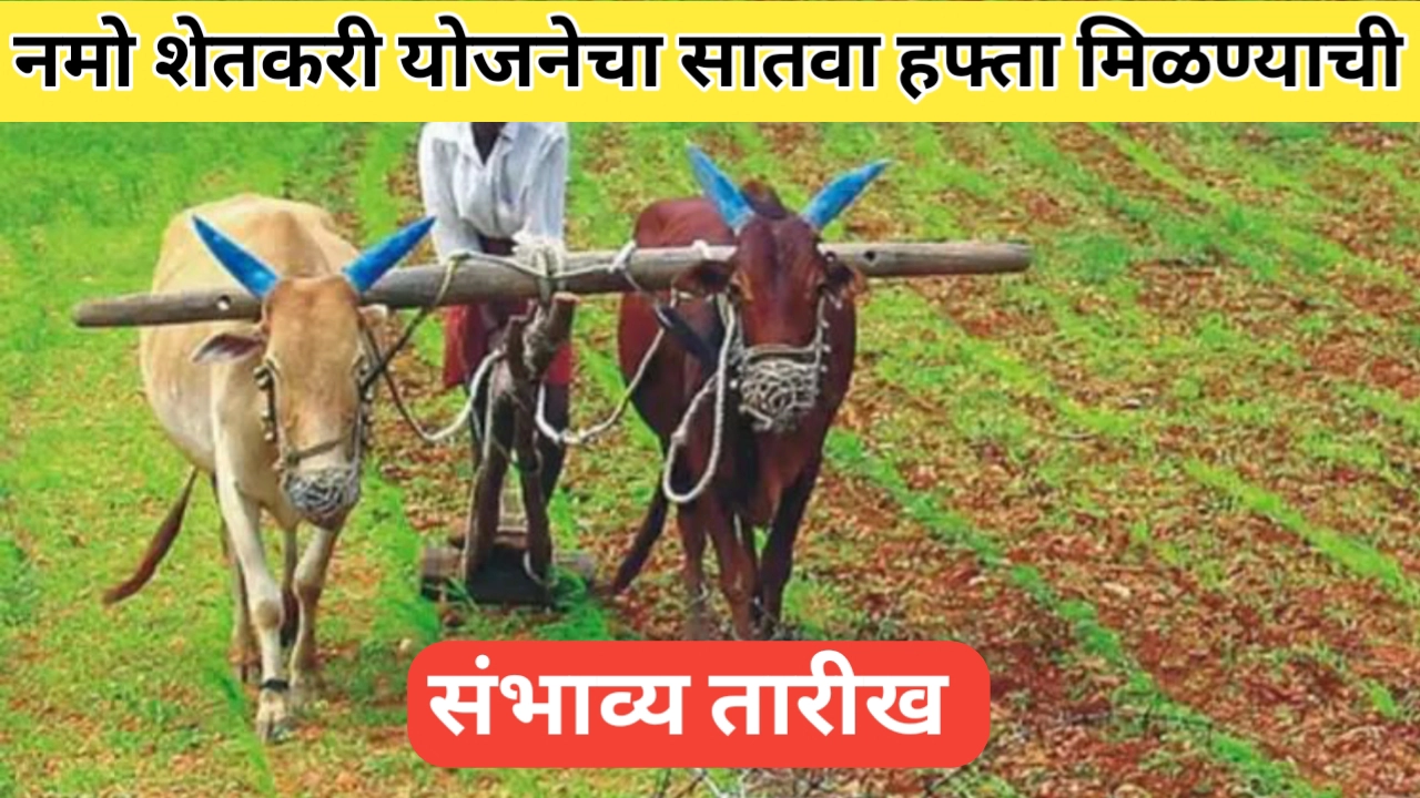 नमो शेतकरी योजनेचा सातवा हफ्ता: संपूर्ण माहिती