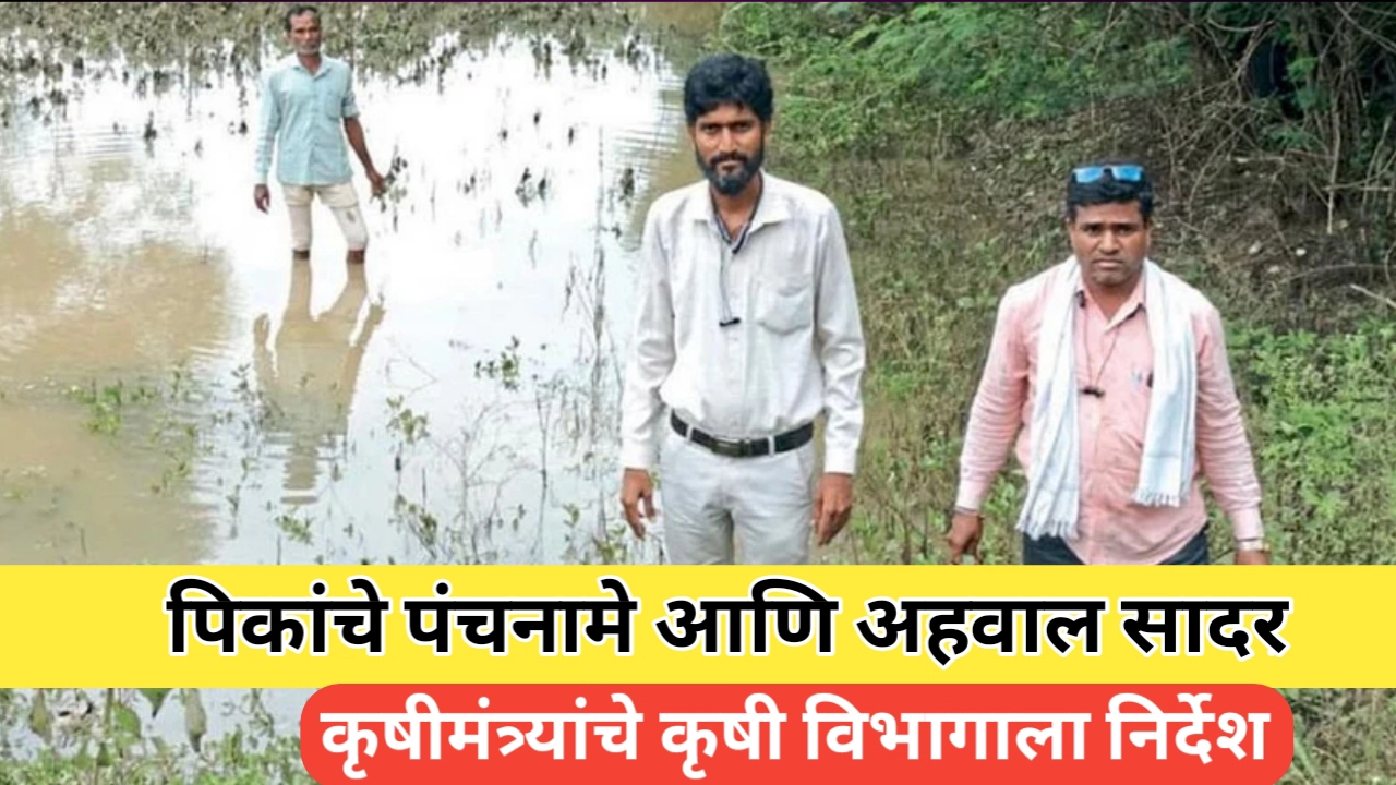 नुकसानीचे पंचनामे आणि अहवाल सादरीकरण बाबत अपडेट