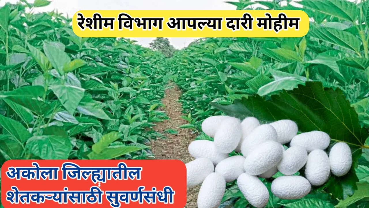 रेशीम विभाग आपल्या दारी मोहीम: अकोल्यातील शेतकऱ्यांसाठी उपक्रम