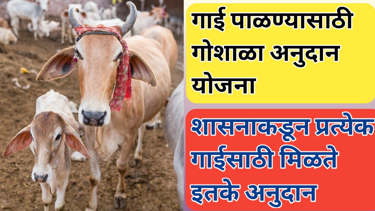 नोंदणीकृत गोशाळांसाठी अनुदान योजना: देशी गोवंश संरक्षणाचा आधारस्तंभ