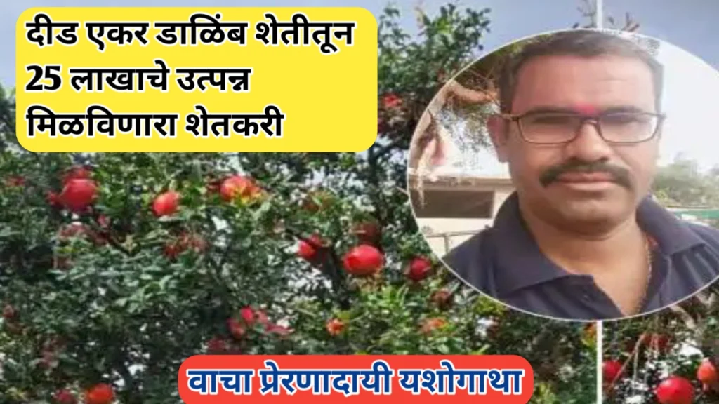 दीड एकर डाळिंब शेतीतून 25 लाखाचे उत्पन्न: एक अद्भुत शेती प्रयोग