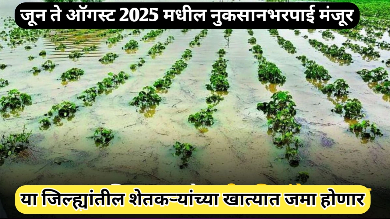 जून ते ऑगस्ट महिन्यातील पिकांची नुकसानभरपाई मंजूर; या जिल्ह्यांतील शेतकऱ्यांच्या खात्यात जमा होणार
