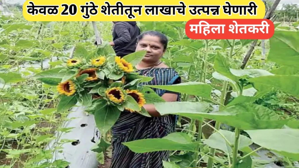 20 गुंठे शेतीत लाखाचे उत्पन्न: महिला शेतकऱ्याची एक प्रेरणादायी यशकथा