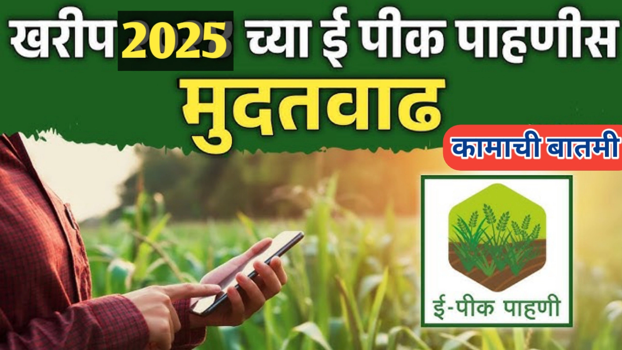 ई-पिक पाहणीला आणखी 6 दिवसांची मुदतवाढ