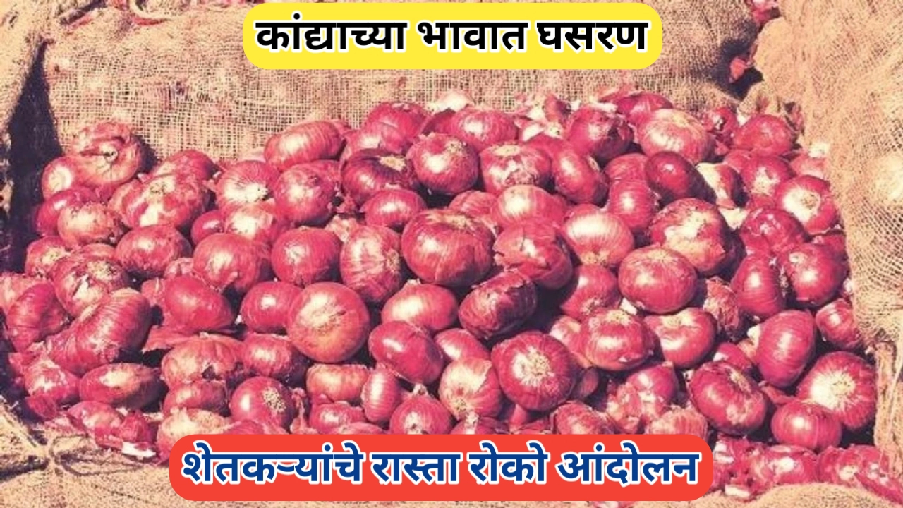कांद्याच्या भावात घसरण; राज्यातील कांदा शेतकरी उद्विग्न